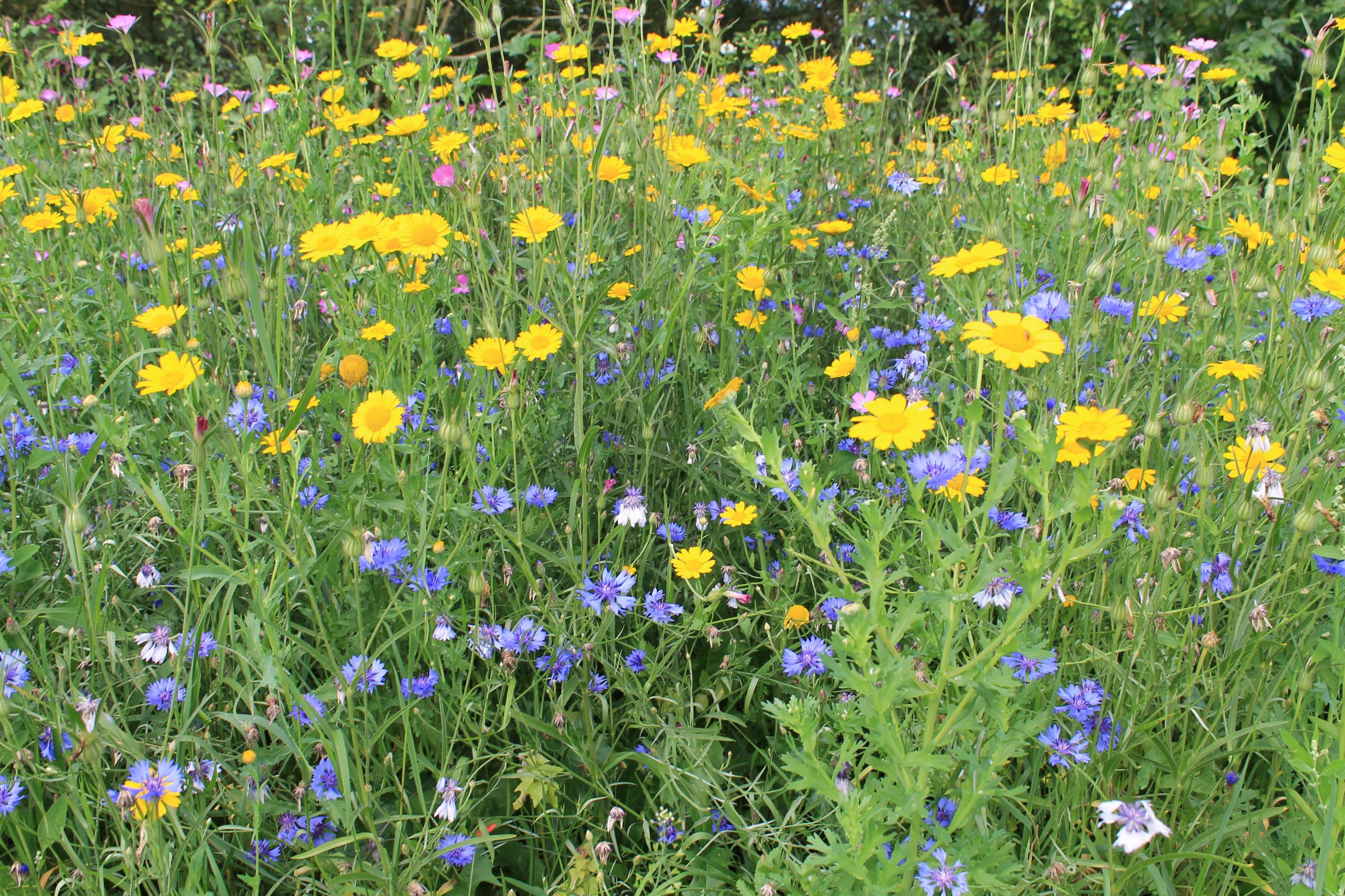 915.575 PVM Mengsel nr 9 (4)