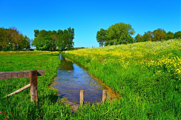 PVM Dijken Basis gras kruiden