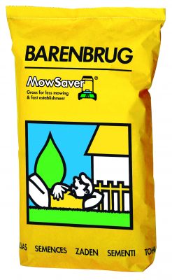 Grass seed mixture Mowsaver