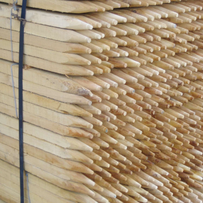 Acaciastokken  Hoogte 150 cm, 22 mm x 22 mm